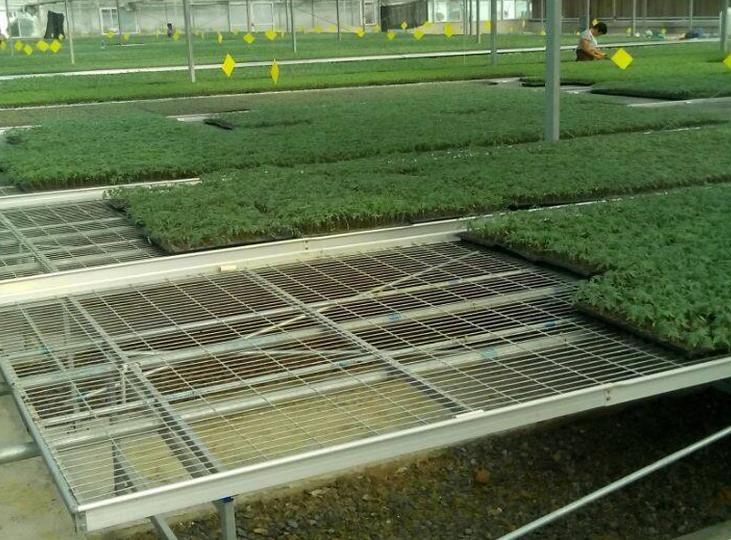 <a href='http://www.saltyvolt.com/miaochuangsheshi/199.html'target='_blank'><a href='http://www.saltyvolt.com/miaochuangsheshi/199.html'target='_blank'><a href='http://www.saltyvolt.com/miaochuangsheshi/199.html'target='_blank'>育苗床</a></a></a>.jpg